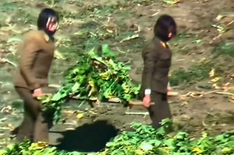 Soldiers carrying winter radish